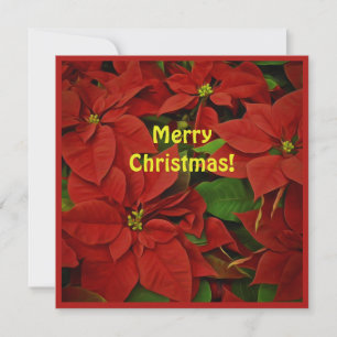 Carte Painé Rouge Poinsettia Carré Noël Salutation