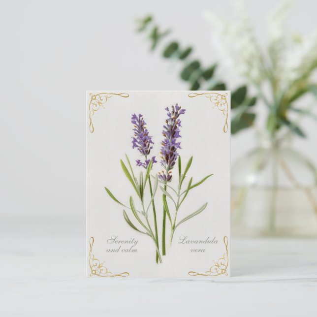 Carte Painted Lavandula Vera Serenity et Calm (Debout devant)