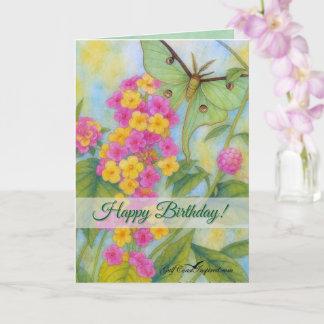 Carte Painted Petals - Lantana Card