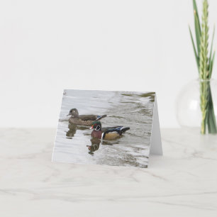 Carte Paire de canard à bois