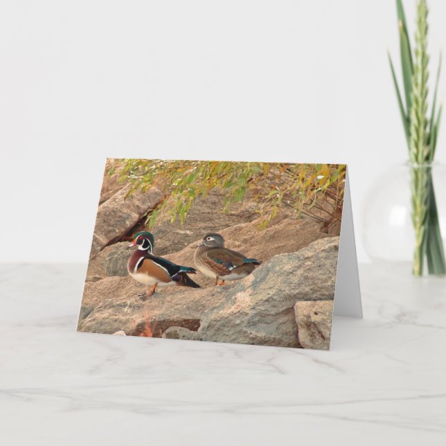 Carte Paire de canard à bois (Devant)