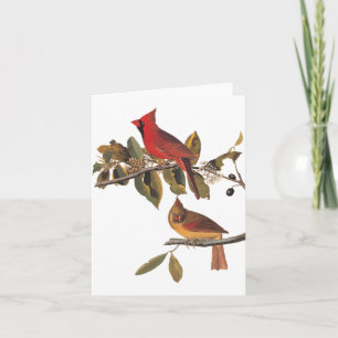 Carte Paire de cardinaux d'Audubon dans un arbre d'amand