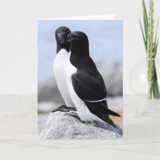 Carte Paire de Razorbill