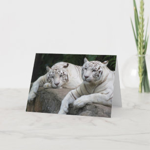 Carte Paires de tigre