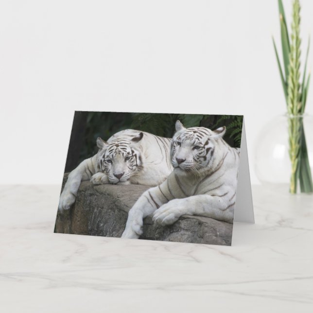 Carte Paires de tigre (Devant)