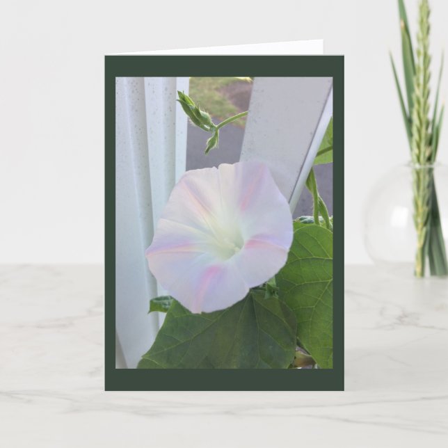 Carte Pale Opal Morning Glory Blank (Devant)