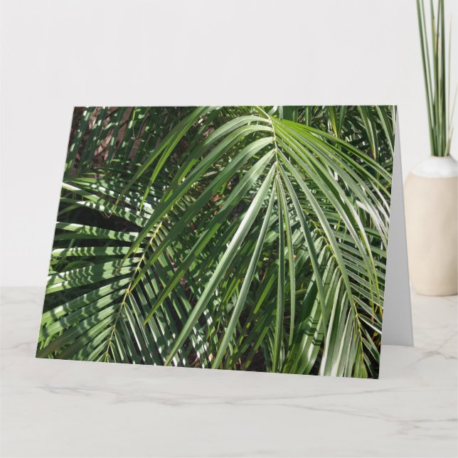 Carte Palm Fronds Beaux Art Photographie de la nature (Devant)