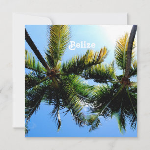 Carte Palmiers de Belize
