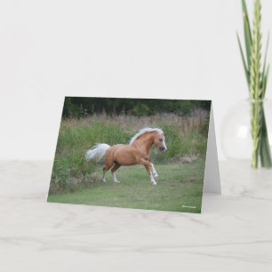 Carte Palomino Gallois Pony Stallion Courant