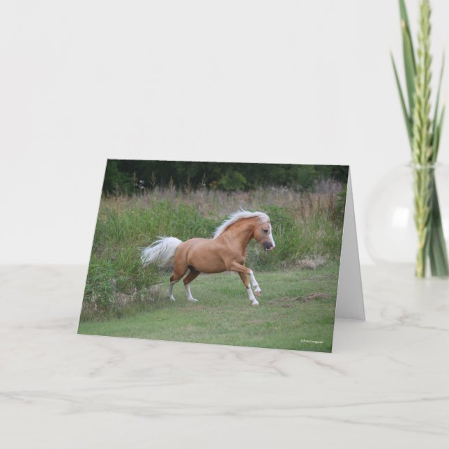 Carte Palomino Gallois Pony Stallion Courant (Devant)