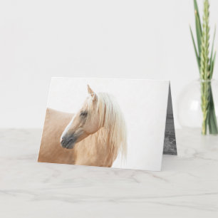 Carte Palomino Stallion Turns Horse Grey Card
