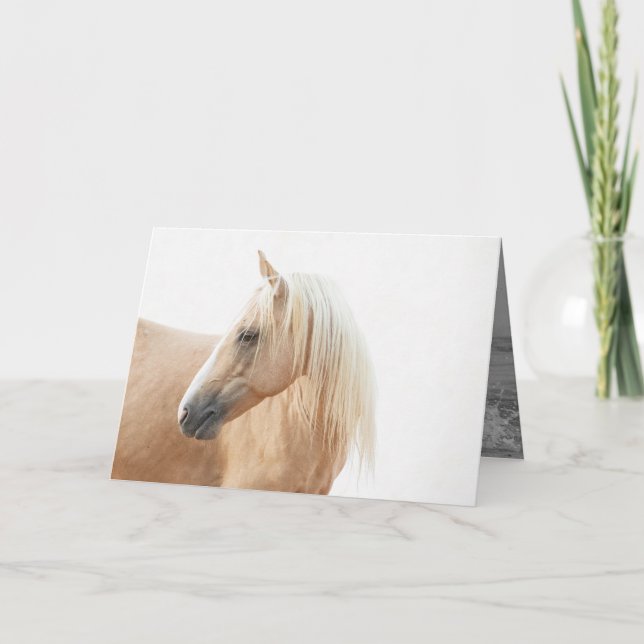Carte Palomino Stallion Turns Horse Grey Card (Devant)