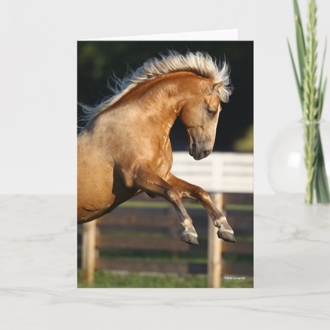 Carte Palomino Tennessee Walker Élevage de l'étalon (Devant)