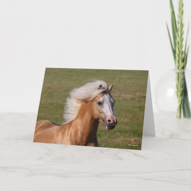 Carte Palomino Welsh Pony Headhot Mane Flow (Devant)