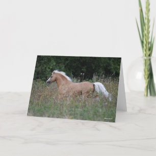 Carte Palomino Welsh Pony Running In Long Grass
