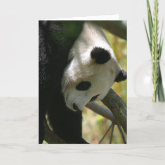 Carte Panda #1