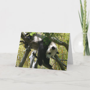 Carte Panda #4