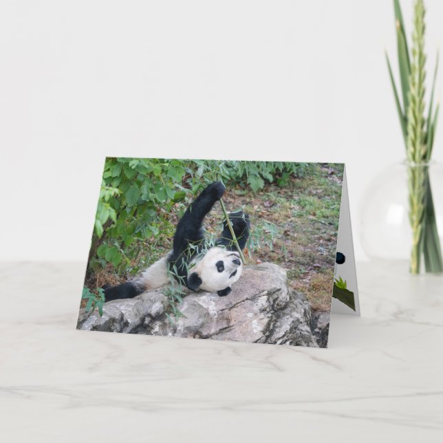 Carte Panda Géant Juste Chillaxin' Greeting Card (Devant)