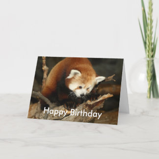 Carte Panda rouge