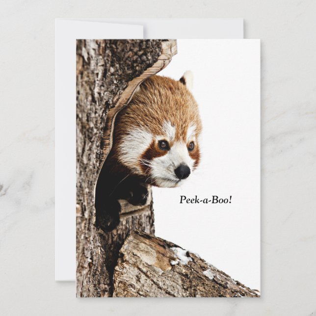 Carte Panda rouge qui regarde d'un arbre, Peek-a-Boo ! (Devant)