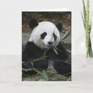 Carte Pandas géants à la protection de panda géant et
