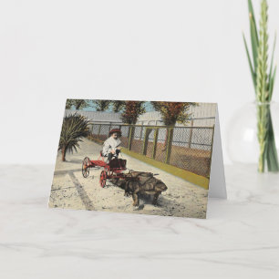 Carte Panier Alligator