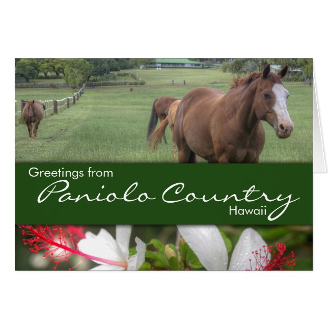 Carte Paniolo Country (Devant horizontal)
