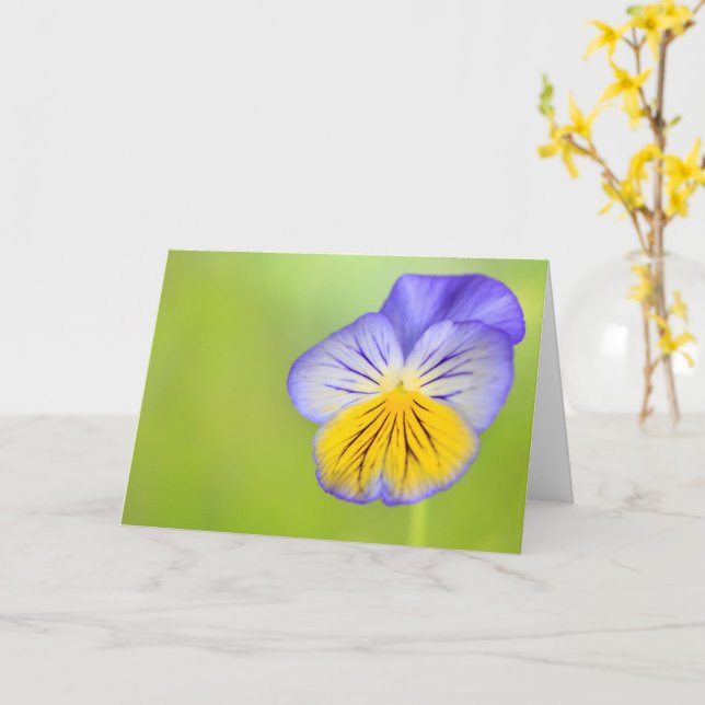 Carte Pansement contre le cancer (Fleur jaune)