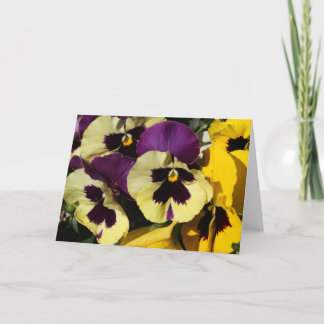 Carte Pansies de ressort