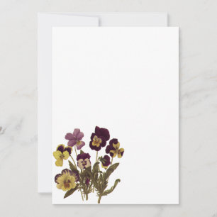 Carte Pansies vintages en Fleur, Fleurs de Jardin Floral