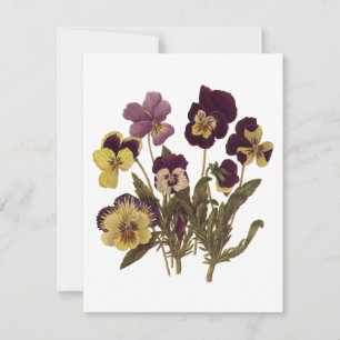 Carte Pansies vintages en Fleur, Fleurs de Jardin Floral