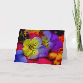CARTE PANSY