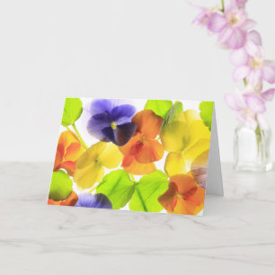 Carte Pansy Party se porte bien