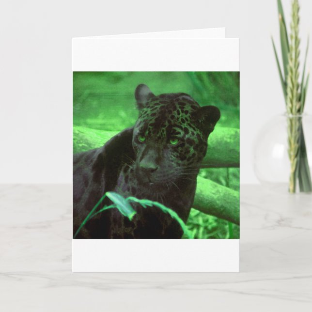 Carte Panthère noire Jaquar sur le vert (Devant)