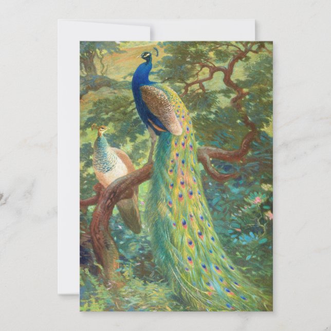 Carte Paon indien | Charles Robert Knight (Devant)