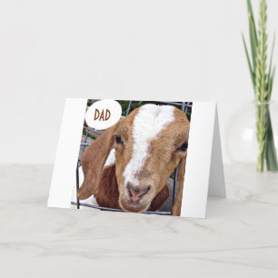 CARTE PAPA-NO KIDDING AUTOUR DE VOTRE ANNIVERSAIRE DIT C