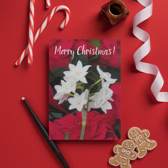 Carte Paperwhites et Poinsettias rouges Noël floral (In Situ)