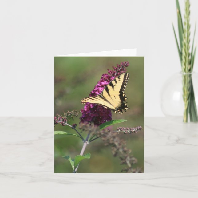 Carte Papillon (Devant)
