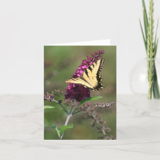 Carte Papillon