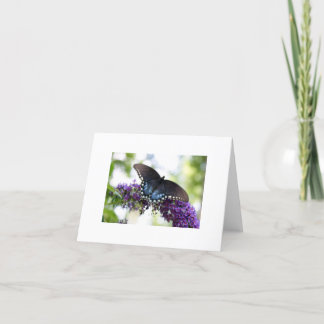 Carte Papillon