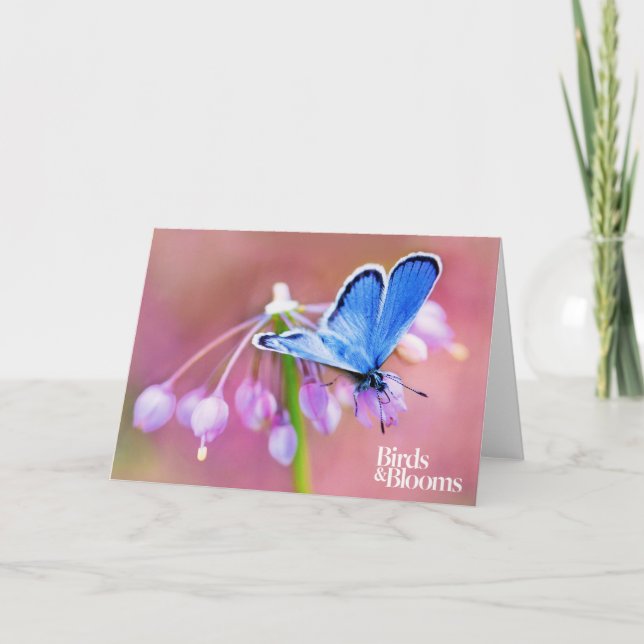 Carte Papillon azuré (Devant)
