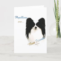 Papillon Best Friend 2