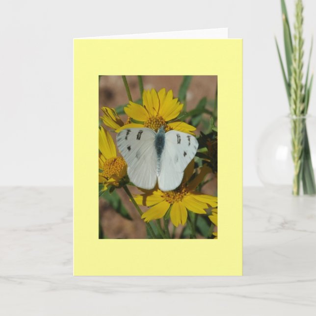CARTE PAPILLON BLANC (Devant)