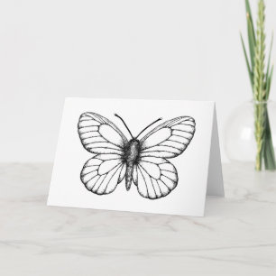 Carte Papillon blanc à veine noire
