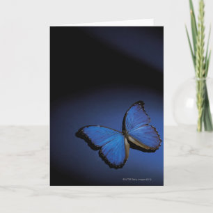 Carte Papillon bleu