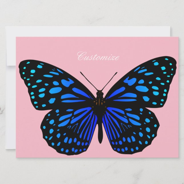 Carte Papillon bleu Thunder_Cove (Devant)