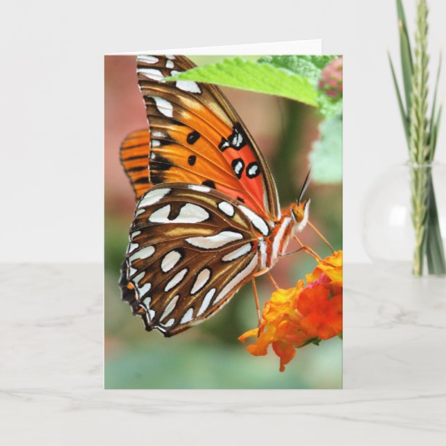 Carte Papillon de fritillaire de Golfe (Devant)