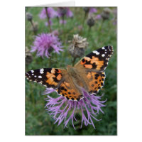Carte Papillon de la Dame peinte