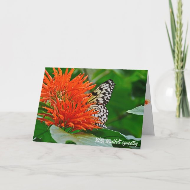 Carte Papillon de la Sympathie en orange Mexicain merle (Devant)