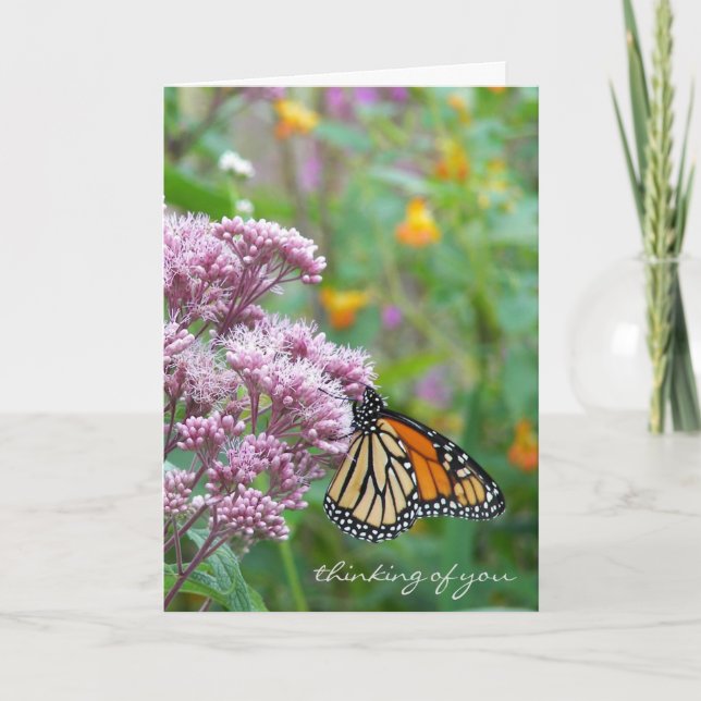 Carte Papillon de monarque sur le fleur sauvage (Devant)